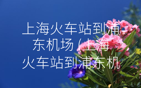 上海火车站到浦东机场 (上海火车站到浦东机场：交通方式、时间和费用分析！)