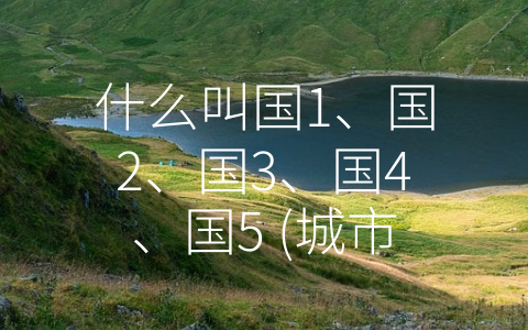 什么叫国1、国2、国3、国4、国5 (城市分类系统背后的-国1”、-国2”、-国3”、-国4”、-国5”的由来)