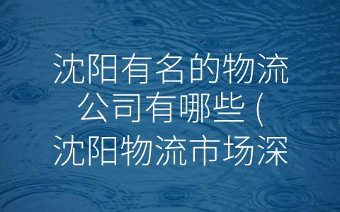 沈阳有名的物流公司有哪些 (沈阳物流市场深耕 顶尖物流企业实力强劲)