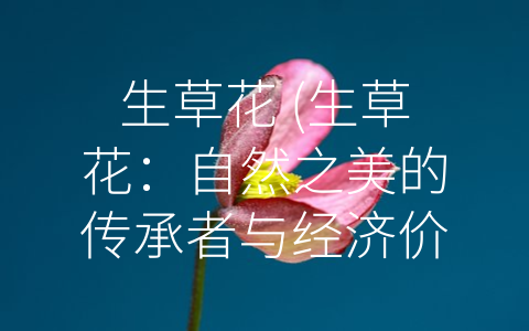 生草花 (生草花：自然之美的传承者与经济价值兼备的重要物种)