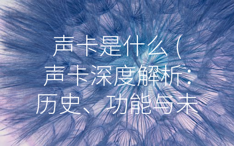 声卡是什么 (声卡深度解析：历史、功能与未来发展趋势)