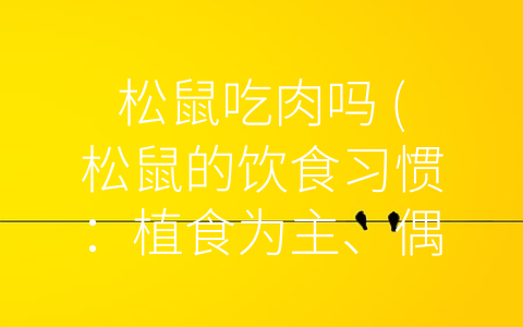 松鼠吃肉吗 (松鼠的饮食习惯：植食为主、偶尔吃肉)