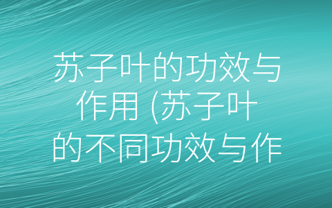 苏子叶的功效与作用 (苏子叶的不同功效与作用全解析)