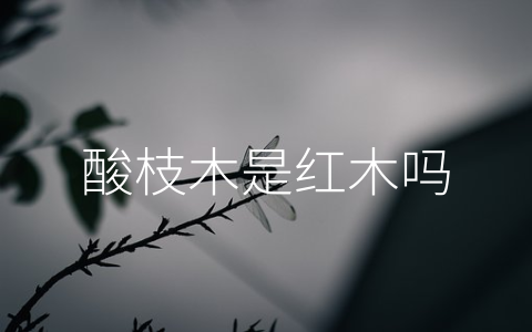 酸枝木是红木吗