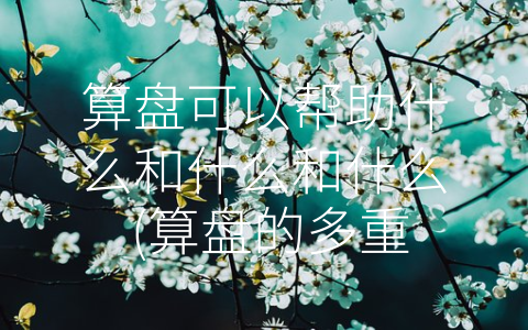 算盘可以帮助什么和什么和什么 (算盘的多重价值)