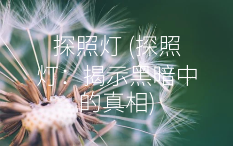 探照灯 (探照灯：揭示黑暗中的真相)