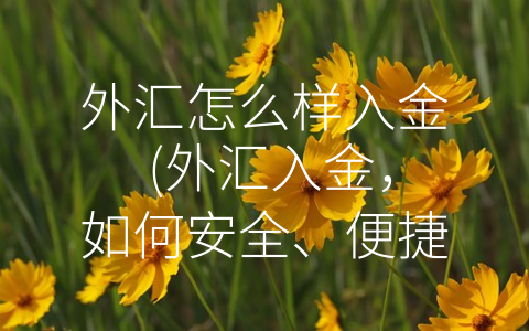 外汇怎么样入金 (外汇入金，如何安全、便捷、节省费用？)