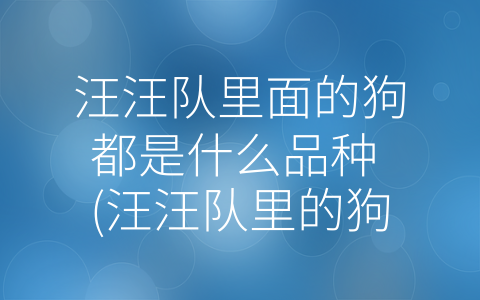 汪汪队里面的狗都是什么品种 (汪汪队里的狗狗：品种多样，各有特色。)