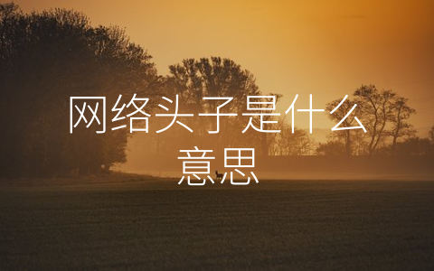 网络头子是什么意思