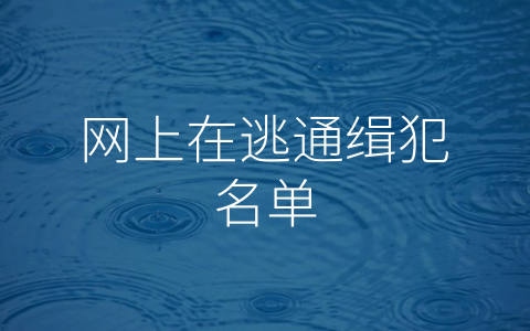 网上在逃通缉犯名单