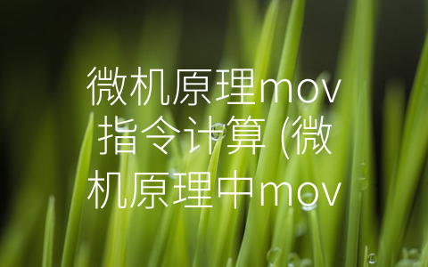 微机原理mov指令计算 (微机原理中mov指令计算的重要性及其应用)