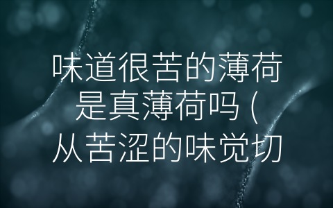 味道很苦的薄荷是真薄荷吗 (从苦涩的味觉切入，探究真正的薄荷。)