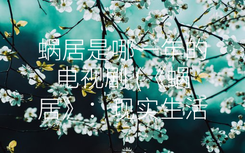 蜗居是哪一年的电视剧 (《蜗居》：现实生活中的琐事与关系)