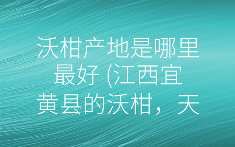 沃柑产地是哪里最好 (江西宜黄县的沃柑，天下第一柑！)