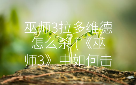 巫师3拉多维德怎么杀 (《巫师3》中如何击败拉多维德：策略与技巧)