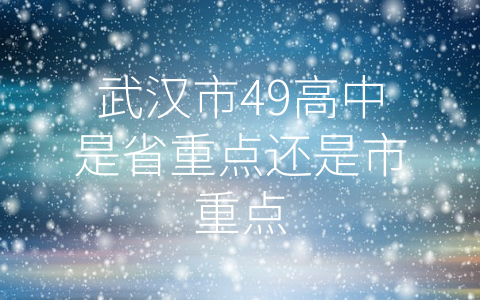 武汉市49高中是省重点还是市重点