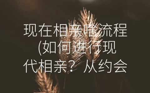 现在相亲啥流程 (如何进行现代相亲？从约会到婚姻全记录)