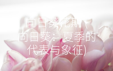 向日葵花期 (向日葵：夏季的代表与象征)