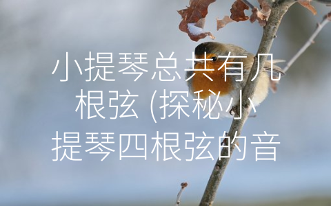 小提琴总共有几根弦 (探秘小提琴四根弦的音乐奥秘)