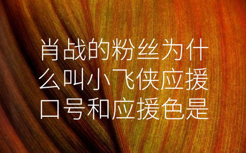 肖战的粉丝为什么叫小飞侠应援口号和应援色是什么) (肖战的粉丝：热爱就是最好的呈现方式)