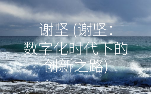 谢坚 (谢坚：数字化时代下的创新之路)