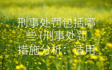 刑事处罚包括哪些 (刑事处罚措施分析：适用精准，合理公正)