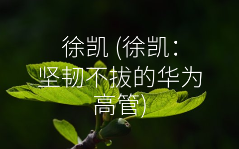 徐凯 (徐凯：坚韧不拔的华为高管)