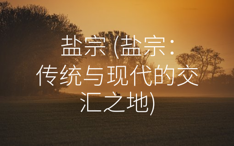 盐宗 (盐宗：传统与现代的交汇之地)