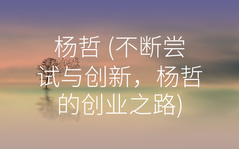 杨哲 (不断尝试与创新，杨哲的创业之路)