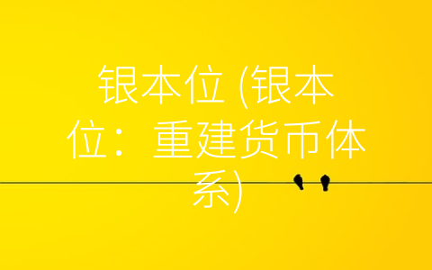 银本位 (银本位：重建货币体系)