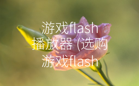 游戏flash播放器 (选购游戏flash播放器，畅玩无阻)