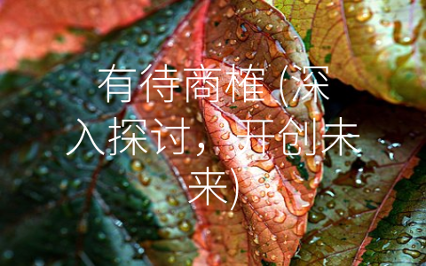 有待商榷 (深入探讨，开创未来)