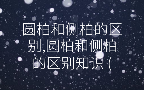 圆柏和侧柏的区别,圆柏和侧柏的区别知识 (圆柏和侧柏的差异，看这篇就够了！)