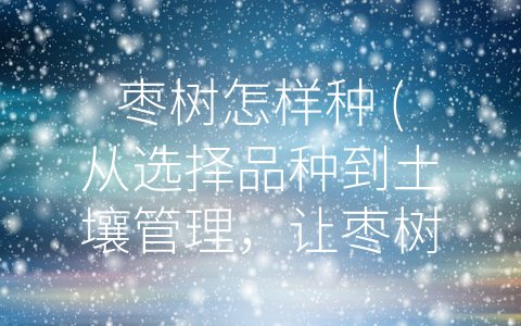 枣树怎样种 (从选择品种到土壤管理，让枣树长得更加健康高效)