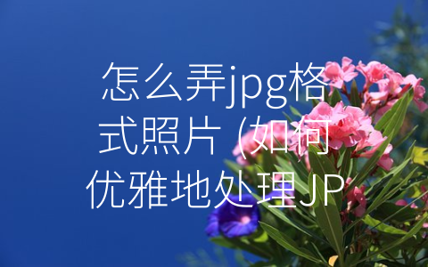 怎么弄jpg格式照片 (如何优雅地处理JPG格式的照片？)