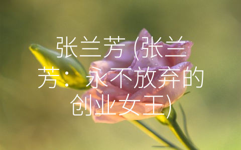 张兰芳 (张兰芳：永不放弃的创业女王)