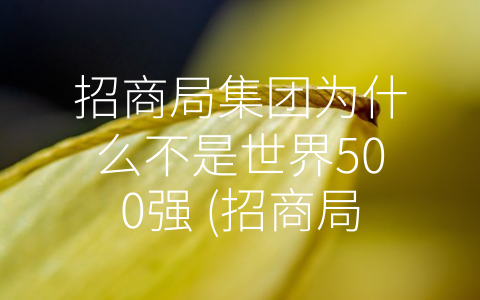 招商局集团为什么不是世界500强 (招商局集团为何成为世界500强短板？)