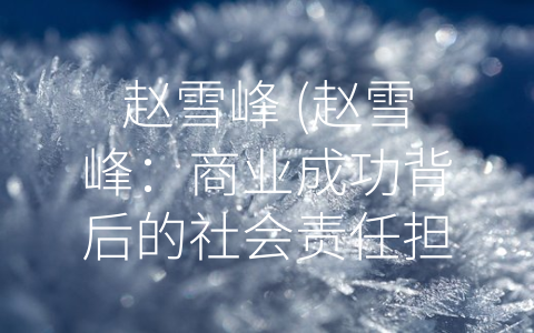 赵雪峰 (赵雪峰：商业成功背后的社会责任担当)