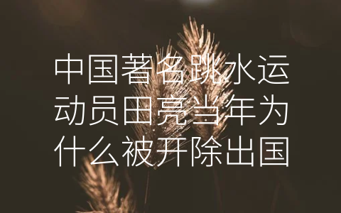 中国著名跳水运动员田亮当年为什么被开除出国家队他近况 (田亮：无惧挫折坚守跳水梦)