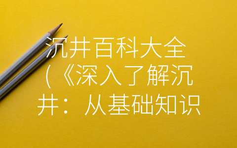 沉井百科大全 (《深入了解沉井：从基础知识到实际应用》)