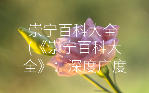 崇宁百科大全 (《崇宁百科大全》：深度广度价值并存的知识海洋)