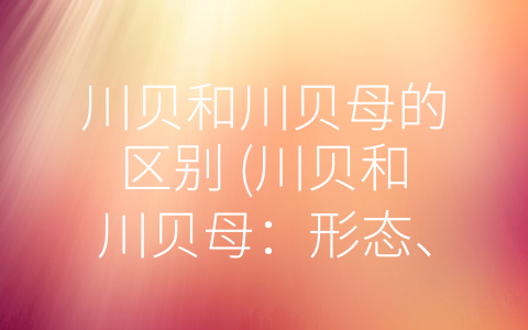 川贝和川贝母的区别 (川贝和川贝母：形态、功效与选购的全面对比)