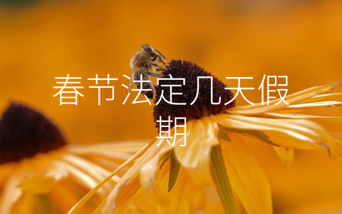 春节法定几天假期