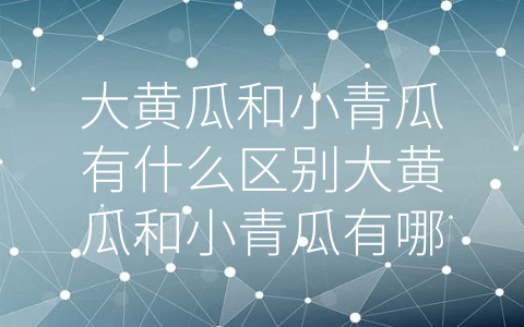 大黄瓜和小青瓜有什么区别大黄瓜和小青瓜有哪些区别 (大黄瓜VS小青瓜：外貌、口感、营养成分都各有千秋！)