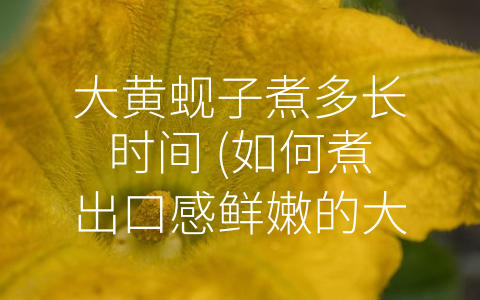 大黄蚬子煮多长时间 (如何煮出口感鲜嫩的大黄蚬子？)