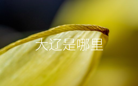 大辽是哪里