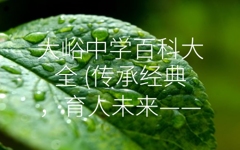 大峪中学百科大全 (传承经典，育人未来——探访大峪中学的优秀教育模式)