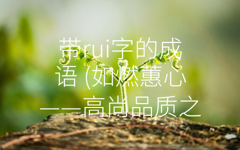 带rui字的成语 (如燃蕙心——高尚品质之光)