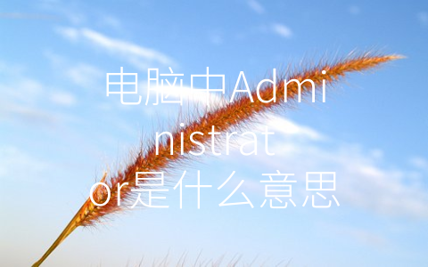 电脑中Administrator是什么意思 (Administrator账户在电脑系统中的重要性及安全隐患)