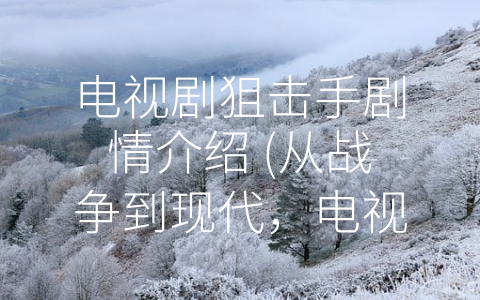 电视剧狙击手剧情介绍 (从战争到现代，电视剧狙击手诠释勇气和智慧)